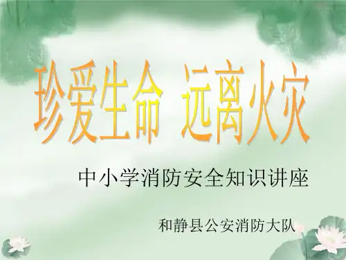 非常好看的167张PPT背景图片