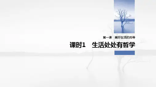 高中政治必修4优质课件：1.1 生活处处有哲学