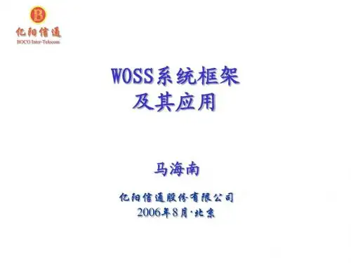 WOSS系统框架及其应用