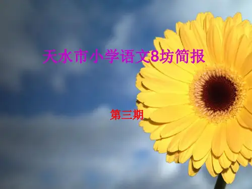 2014年国培简报第三期