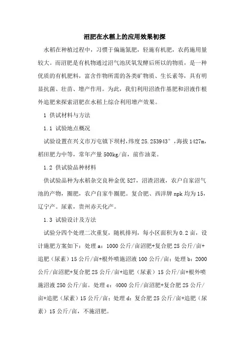 沼肥在水稻上应用效果