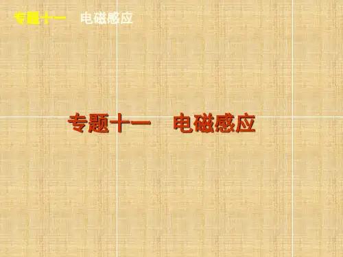 2012年高考物理二轮复习专题十一电磁感应
