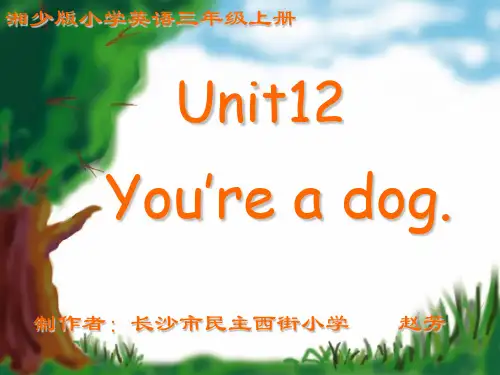 湘少版小学英语三年级上册课件