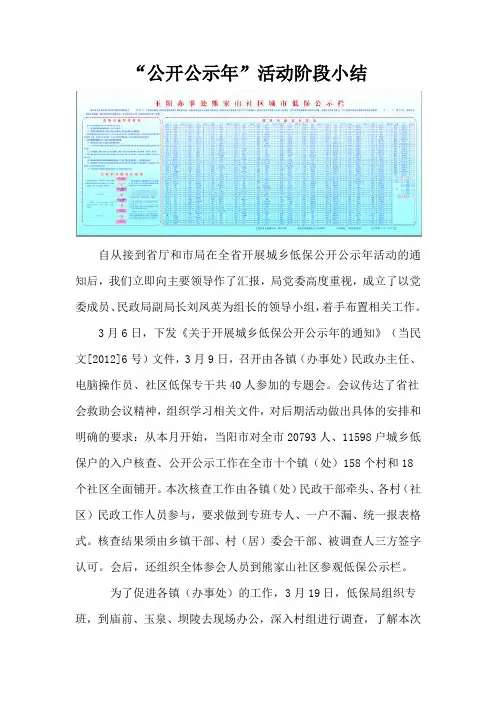公示年开展情况报告
