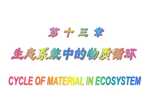 第十三章+生态系统中的物质循环