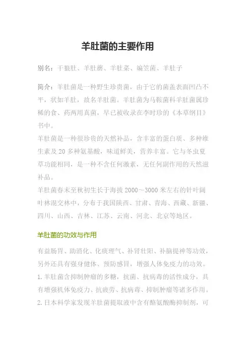 羊肚菌的主要作用