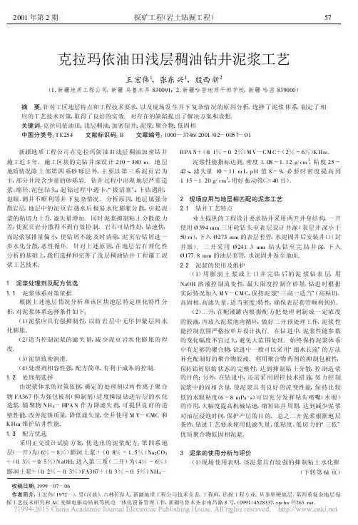 克拉玛依油田浅层稠油钻井泥浆工艺_王宏伟