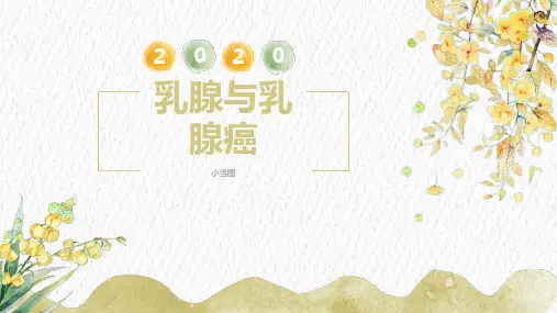 小清新唯美风乳腺肿物护理查房PPT模板