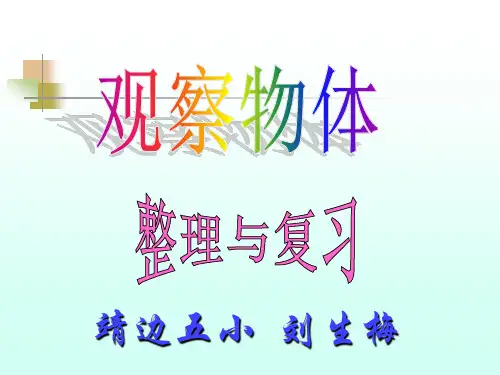 课件观察物体整理与复习