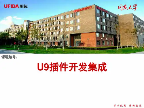 U9插件开发集成