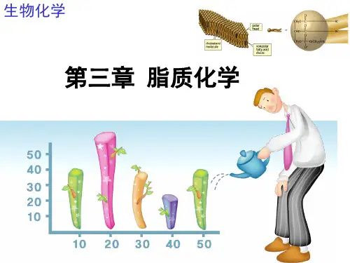 第三章 脂质化学