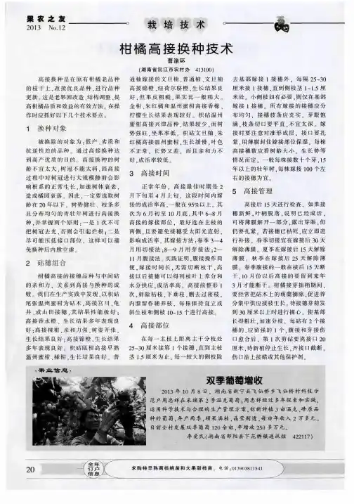柑橘高接换种技术