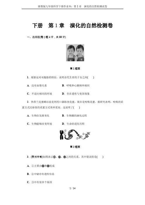 浙教版九年级科学下册作业本：第1章 演化的自然检测试卷