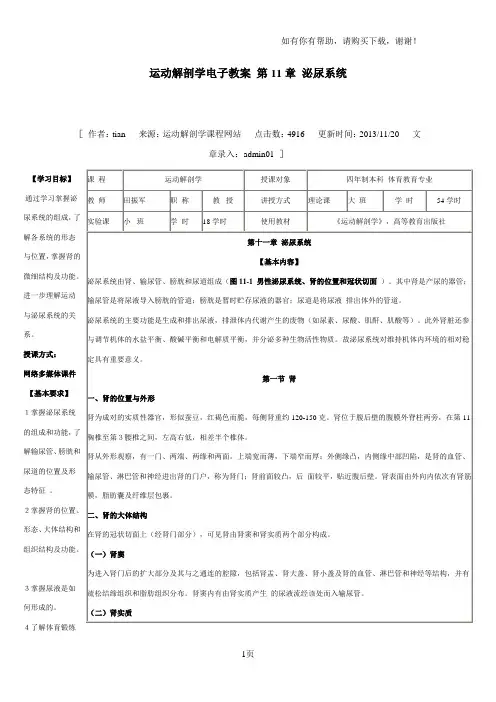 运动解剖学电子教案第一章泌尿系统