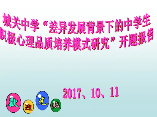 开题报告