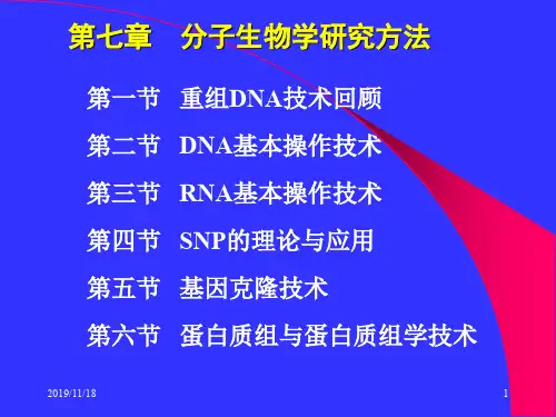 第四章分子生物学研究方法课件