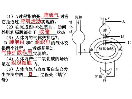 第二章人的生活需要空气(讲解题)
