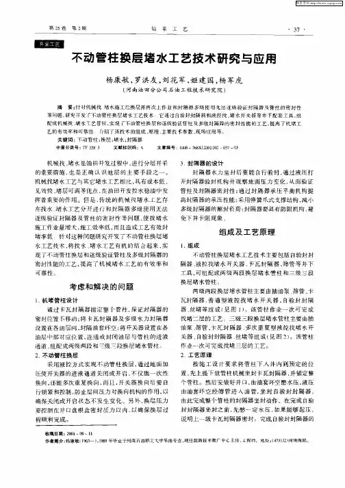 不动管柱换层堵水工艺技术研究与应用