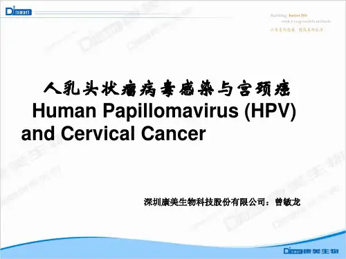 HPV病毒介绍及检测意义