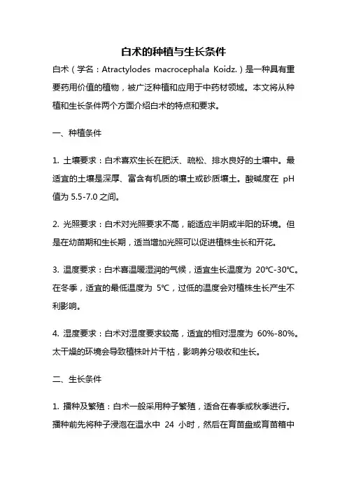 白术的种植与生长条件