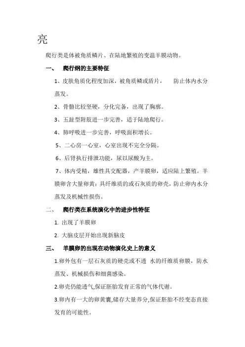 爬行纲 2