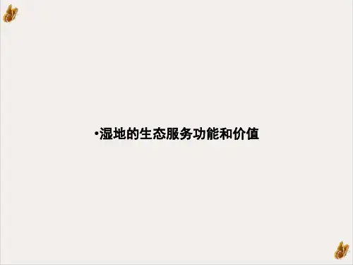 湿地的生态服务功能和价值PPT
