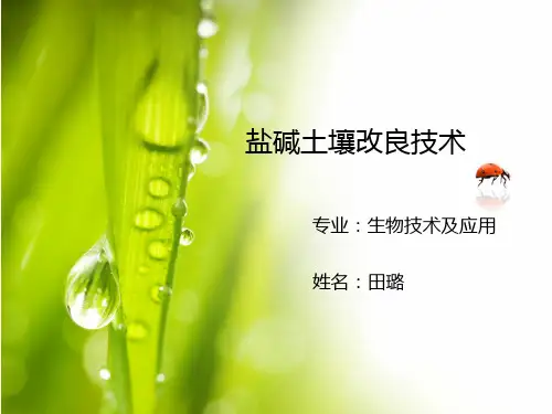 盐碱土壤改良技术
