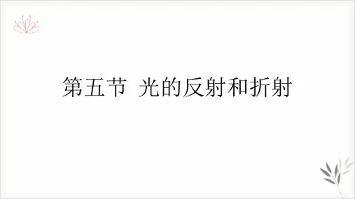 浙教版七年级下科学《光的反射和折射》完美课件2