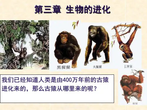 复件 生命的起源.ppt  (恢复)
