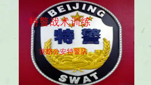 《特警战术训练》课件
