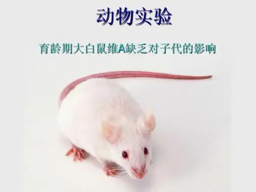 维生素A缺乏的动物模型