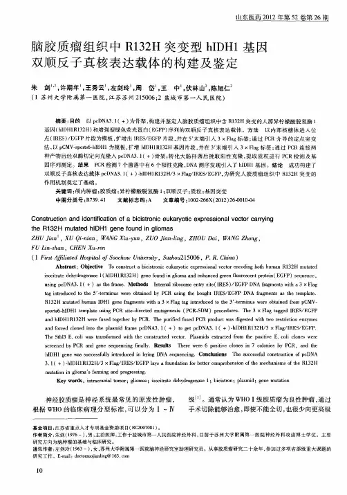 脑胶质瘤组织中R132H突变型h1DH1基因双顺反子真核表达载体的构建及鉴定