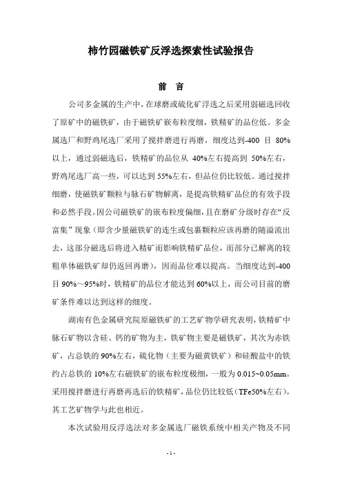 柿竹园磁铁矿反浮选探索性试验报告