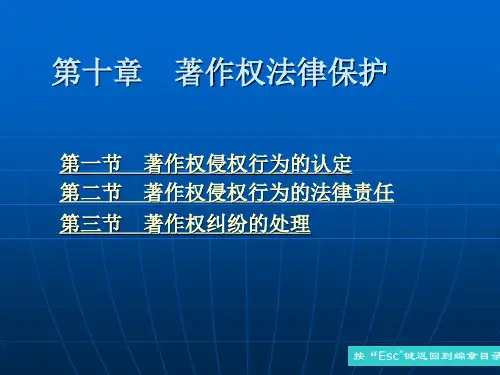 第十章 著作权法律保护