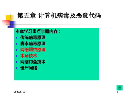 第5章 计算机病毒及恶意代码.
