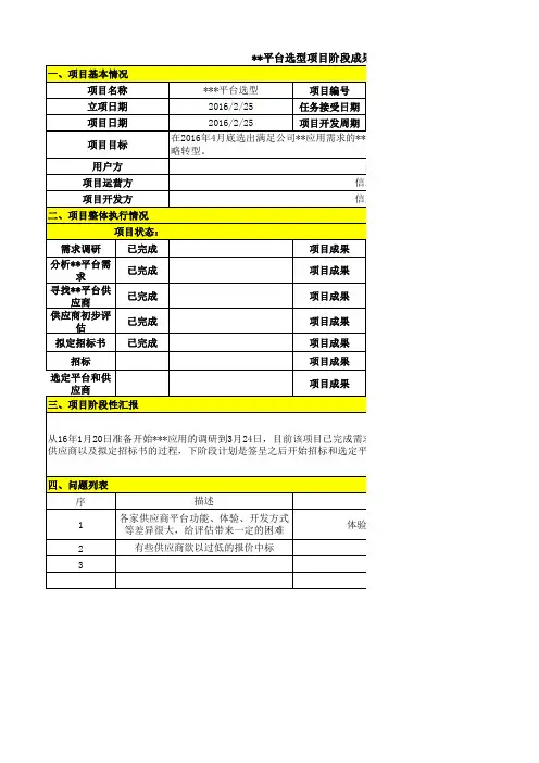 项目阶段性成果汇报 