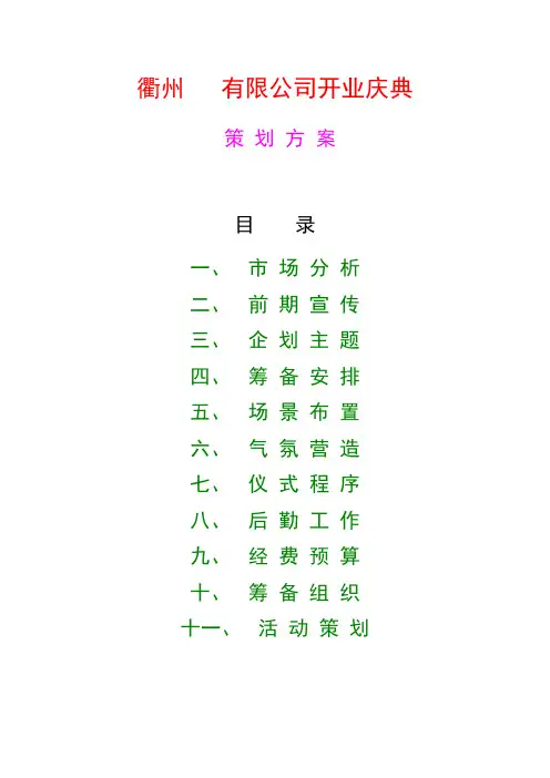 汽车开业方案模板