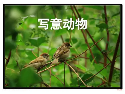 第10课 写意动物