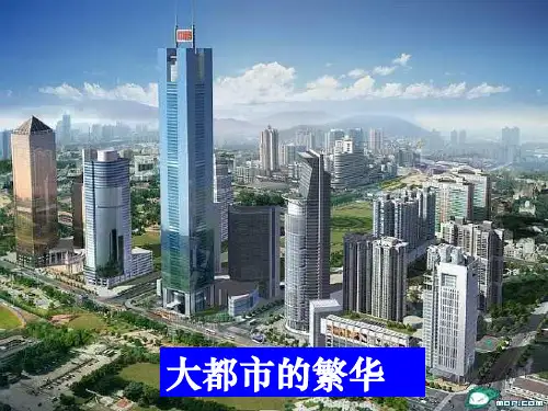 大都市的繁华.ppt