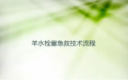 羊水栓塞急救技术流程