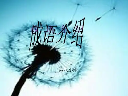成语介绍