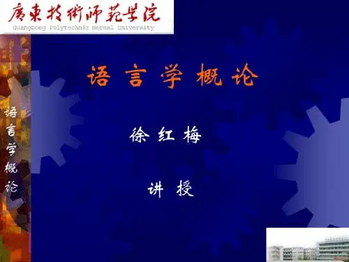 导言