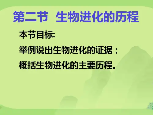 初中生物八年级上册  5.16.2 生物的进化历程 课件