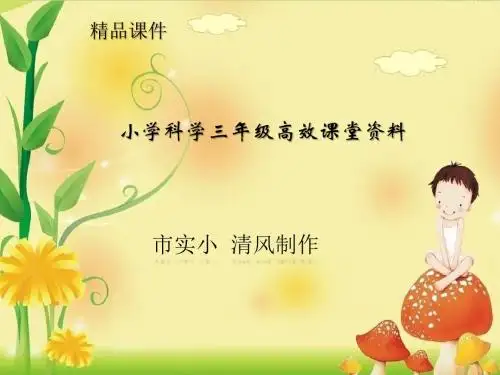 小学科学青岛版三年级上册高效课堂资料《水面的秘密》课件 (2)