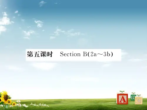 人教新目标2018八年级英语下册 Unit 3 Could you please clean your room(第5课时)练习课件
