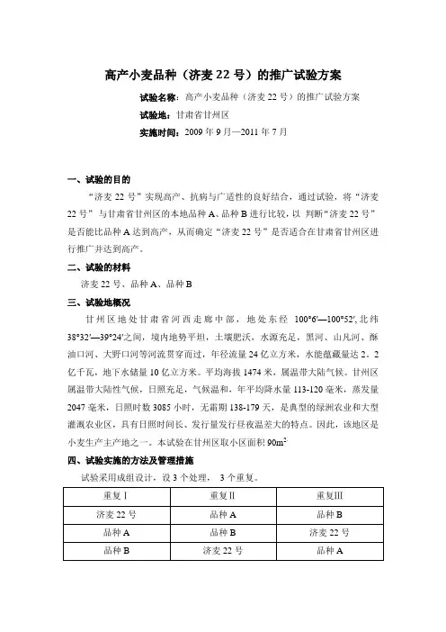 高产小麦品种