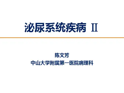 泌尿系统疾病2