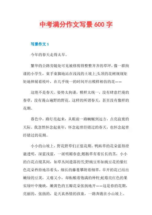 中考满分作文写景600字