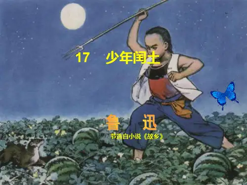 《少年闰土》课件.ppt