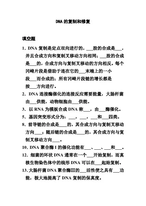 DNA的复制和修复